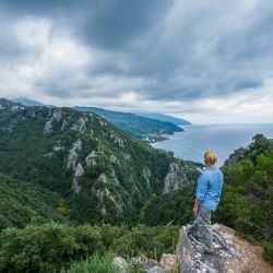 3.ΑΝΑΚΑΛΥΨΤΕ ΤΟ ΠΗΛΙΟ